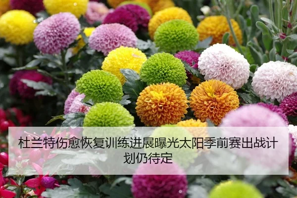 杜兰特伤愈恢复训练进展曝光太阳季前赛出战计划仍待定