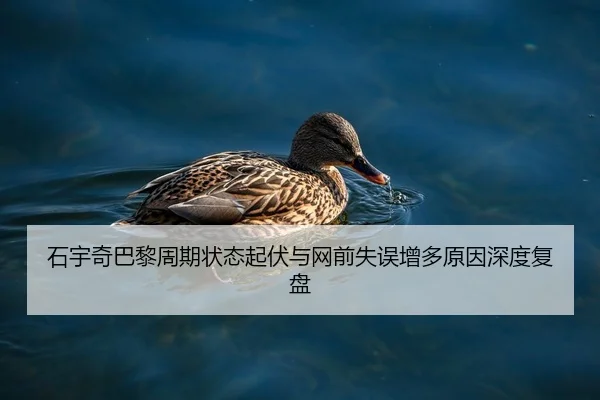 石宇奇巴黎周期状态起伏与网前失误增多原因深度复盘